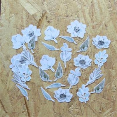 AV2021-1 Découpes fleurs blanches