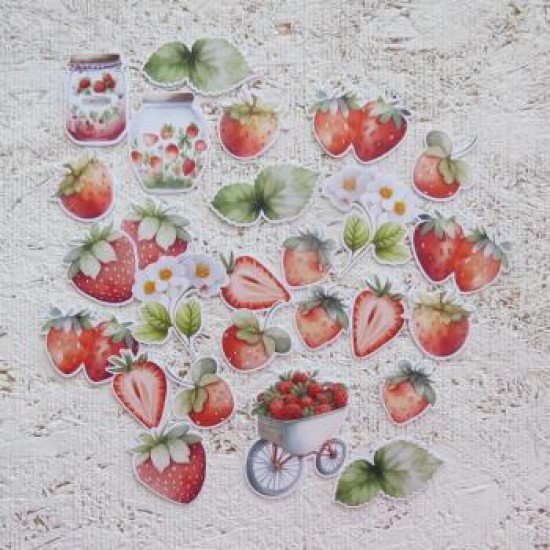 23c423- Découpes champ de fraises
